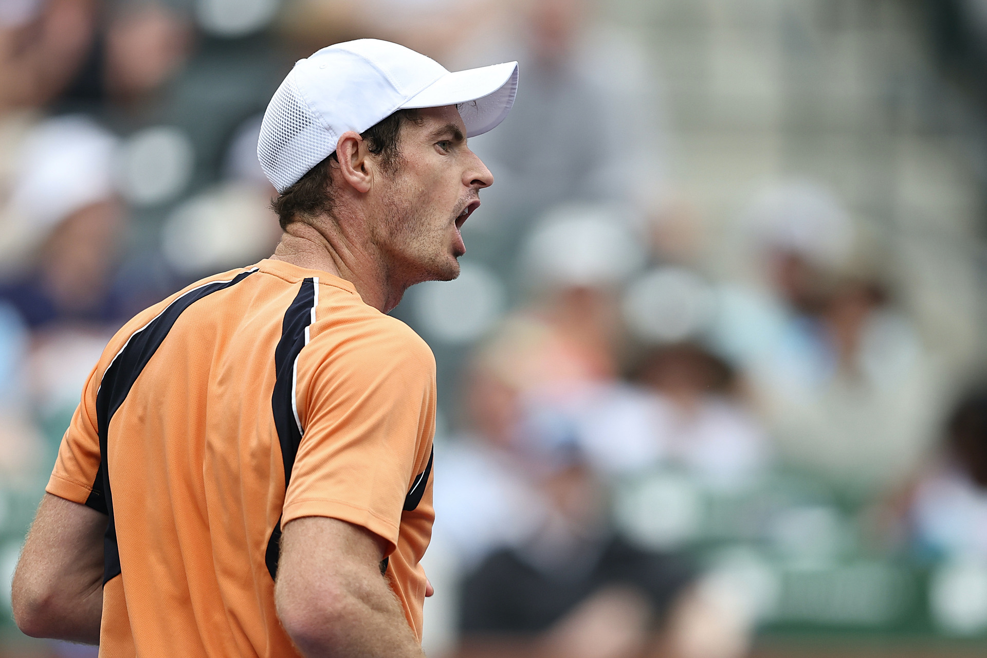 世界网球队绝地反击美国网球队，穆雷高光表现的简单介绍