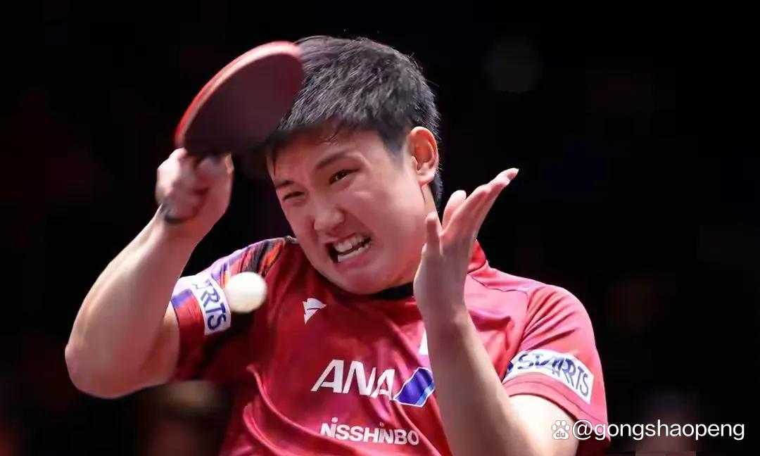 瑞典队逆转韩国队，张本智和点燃赛场