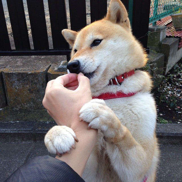 孤星闪耀海峡岸，一个名叫乔治的独行侠