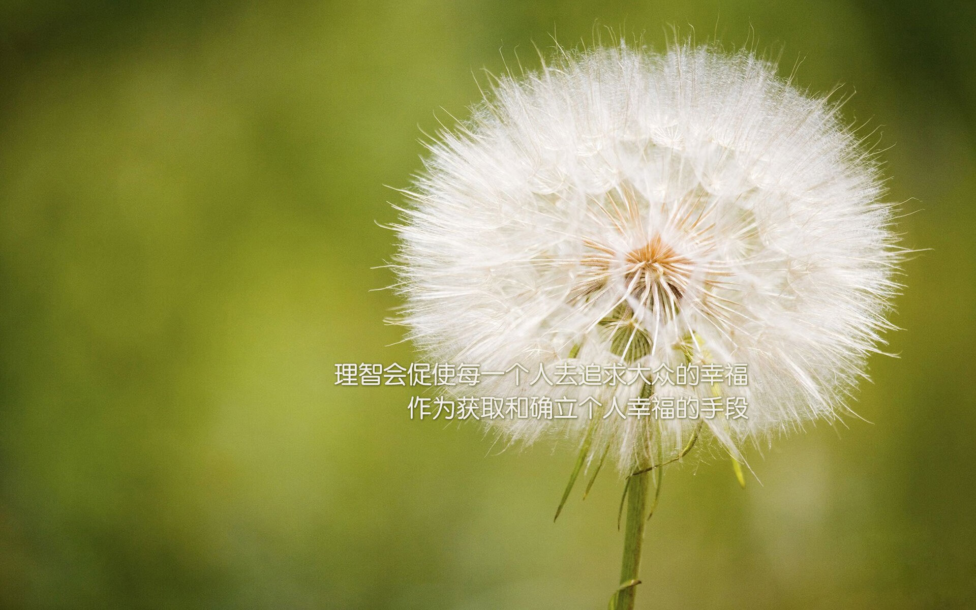 战火熔炉,巴斯托尼爆发之夜,雷恩血拼铸就国际米兰命运之剑