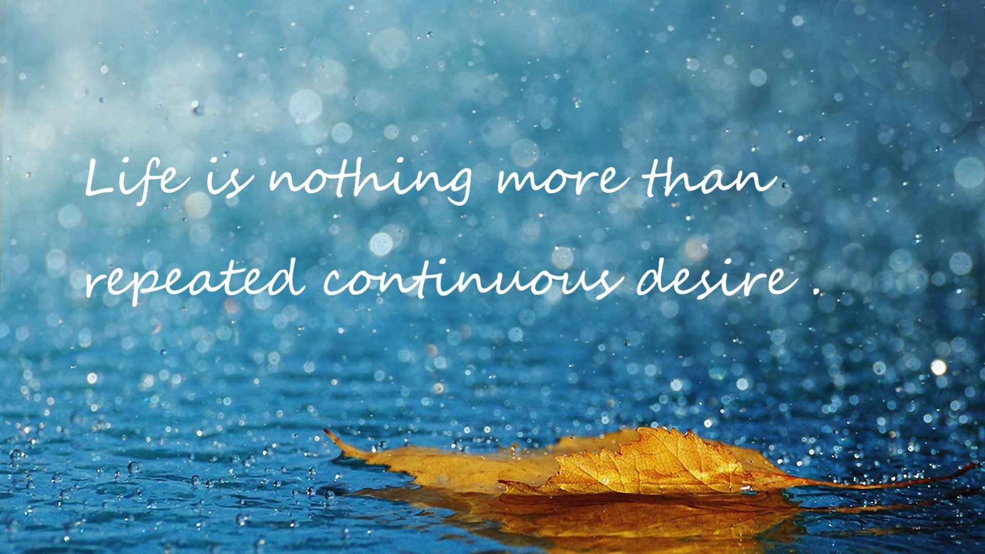 绿茵钻石,加维用金子般的心照亮安联,拜仁涉险过关却现裂痕