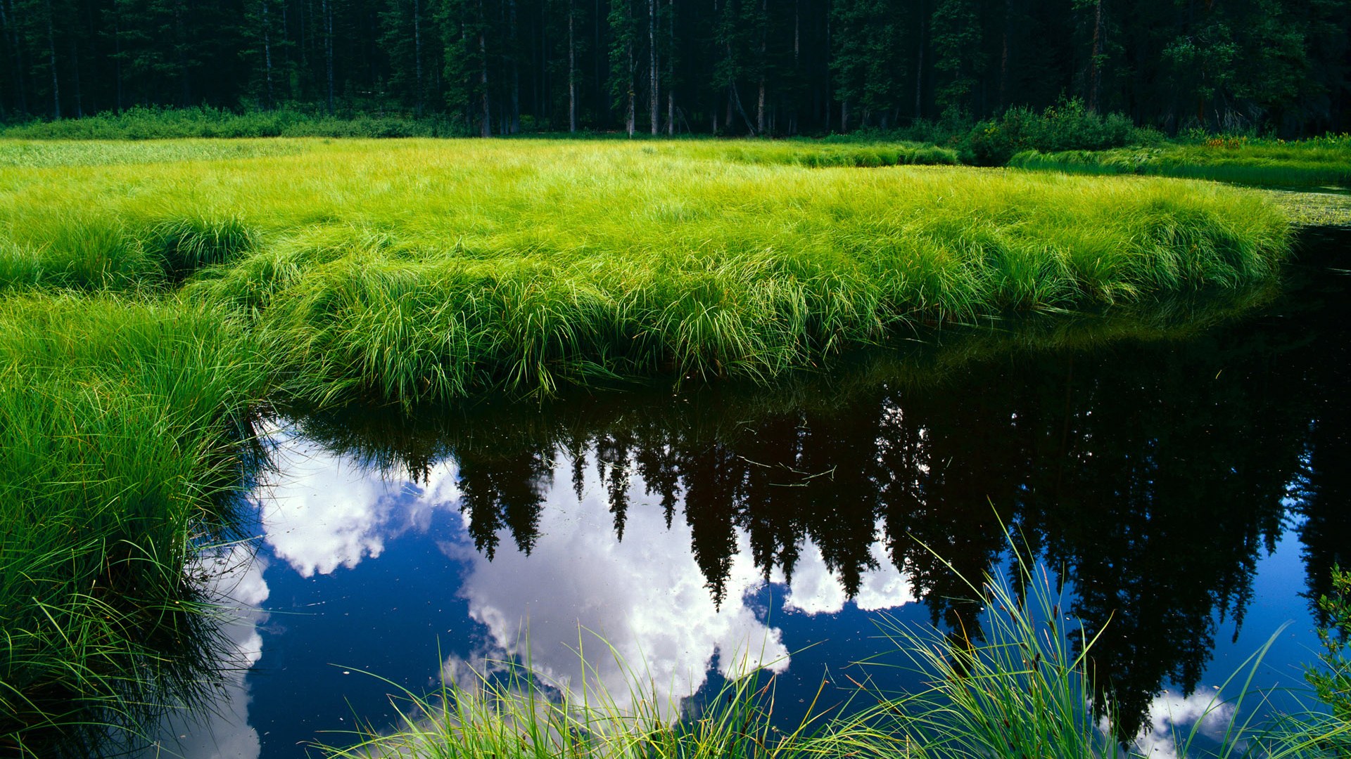 马克西一锤定音,少年剑封喉,雄鹿止连败