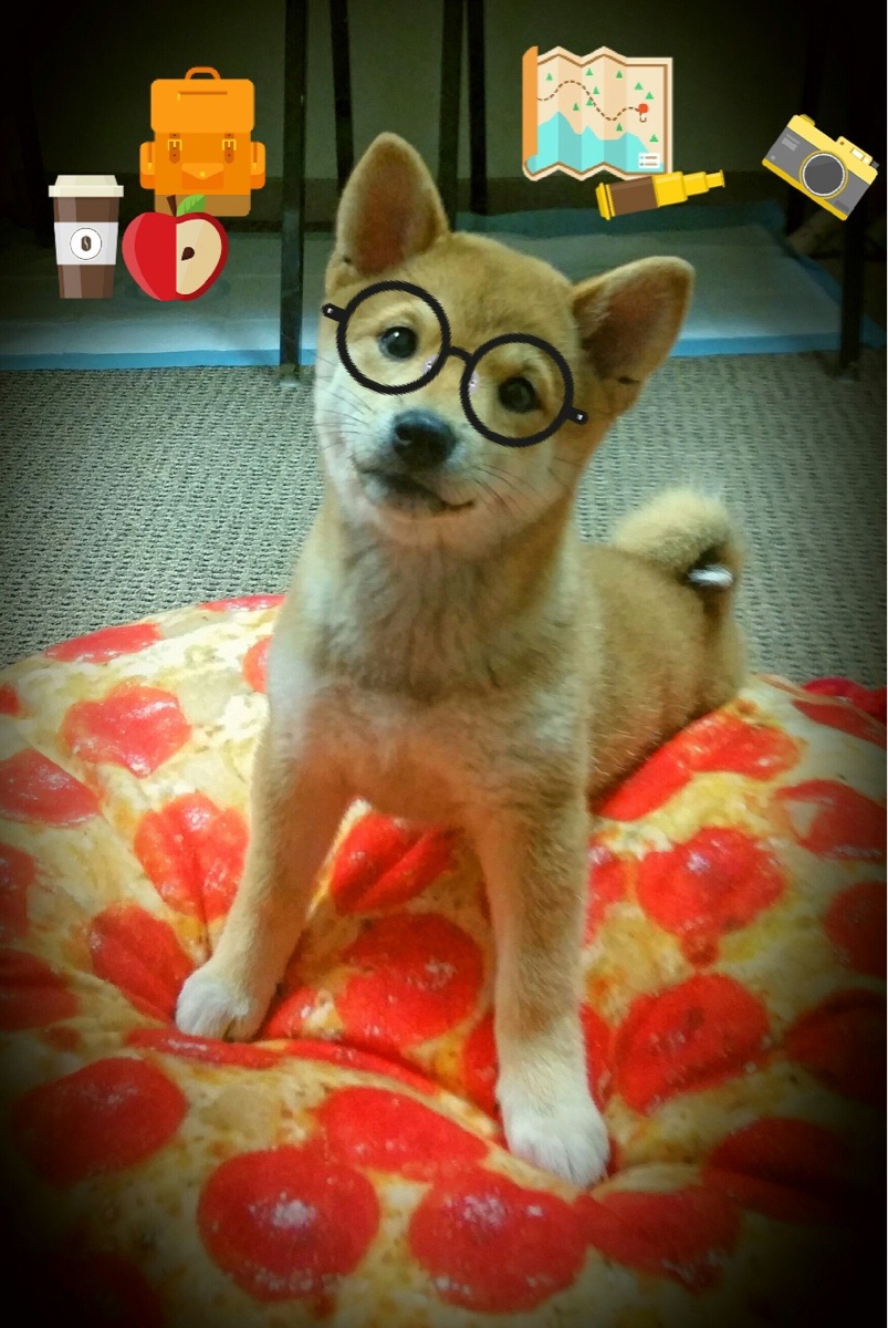 跨时空对决，曼城强势拿下伊拉克，莱万化身战争与和平的关键先生