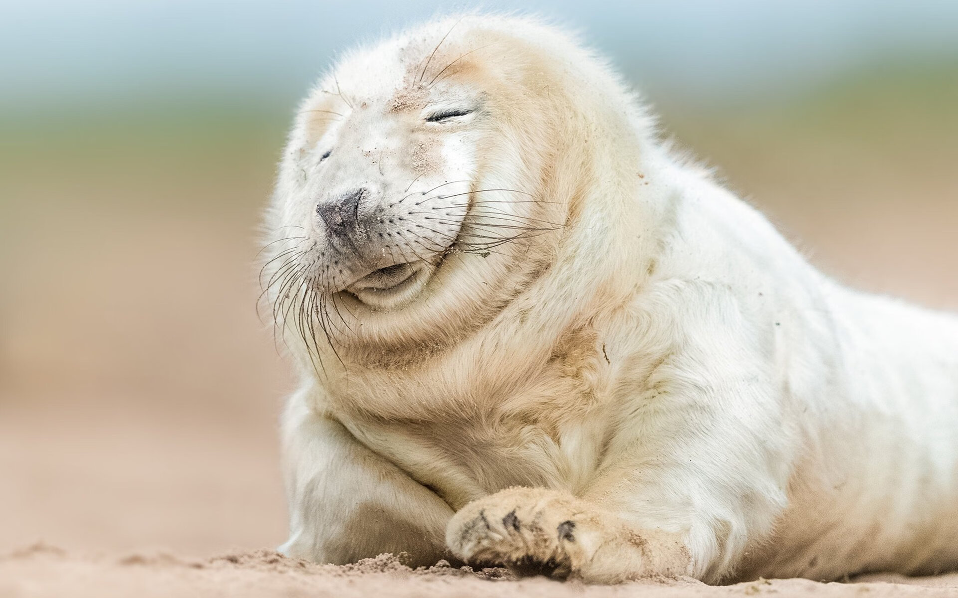 悬念在起跑线终结,红牛公牛巴林提前加冕,维斯塔潘的无情统治