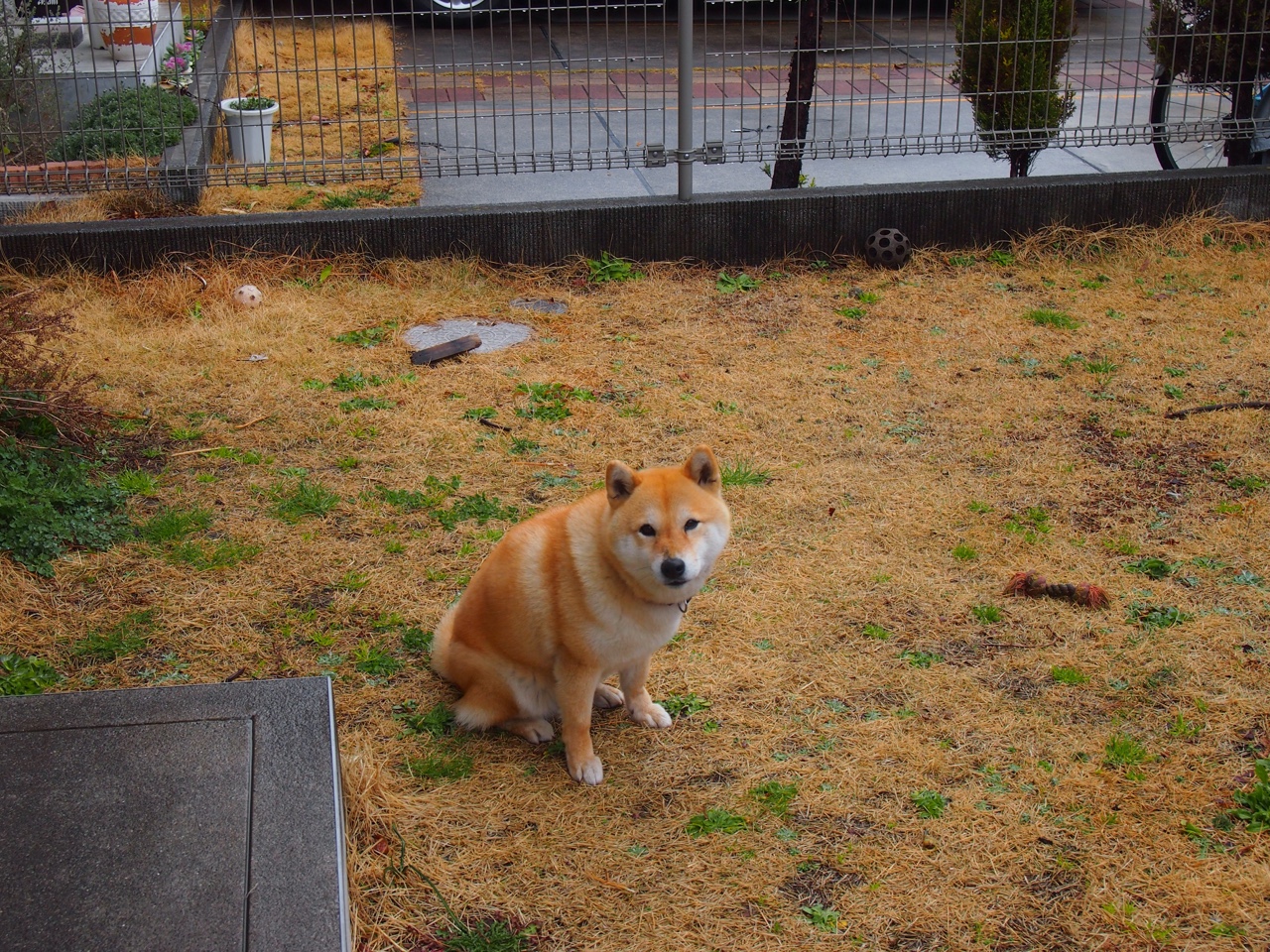 银黑利刃刺穿绿衫,无名之辈今夜封神