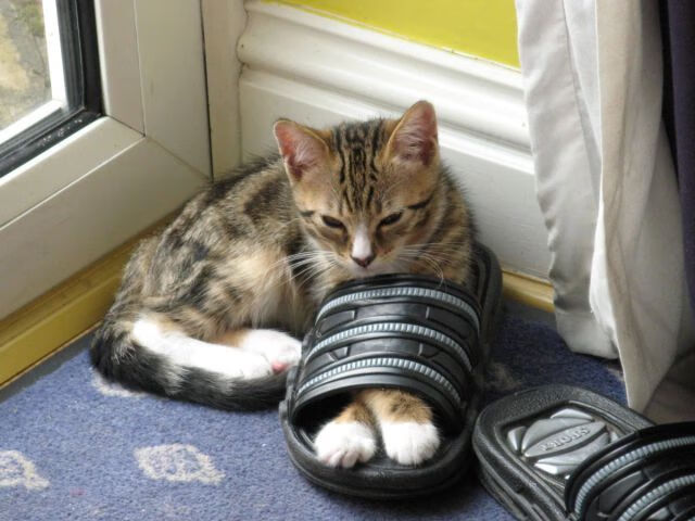 惊魂六分钟,克莱如何用三次出手让太阳提前落入黑暗