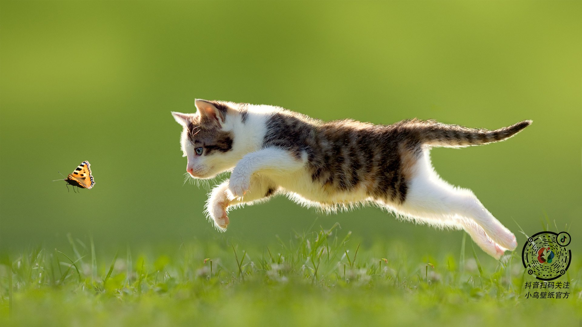 唯一奇迹，伊萨克神级爆发，波兰之鹰决胜里昂之巅