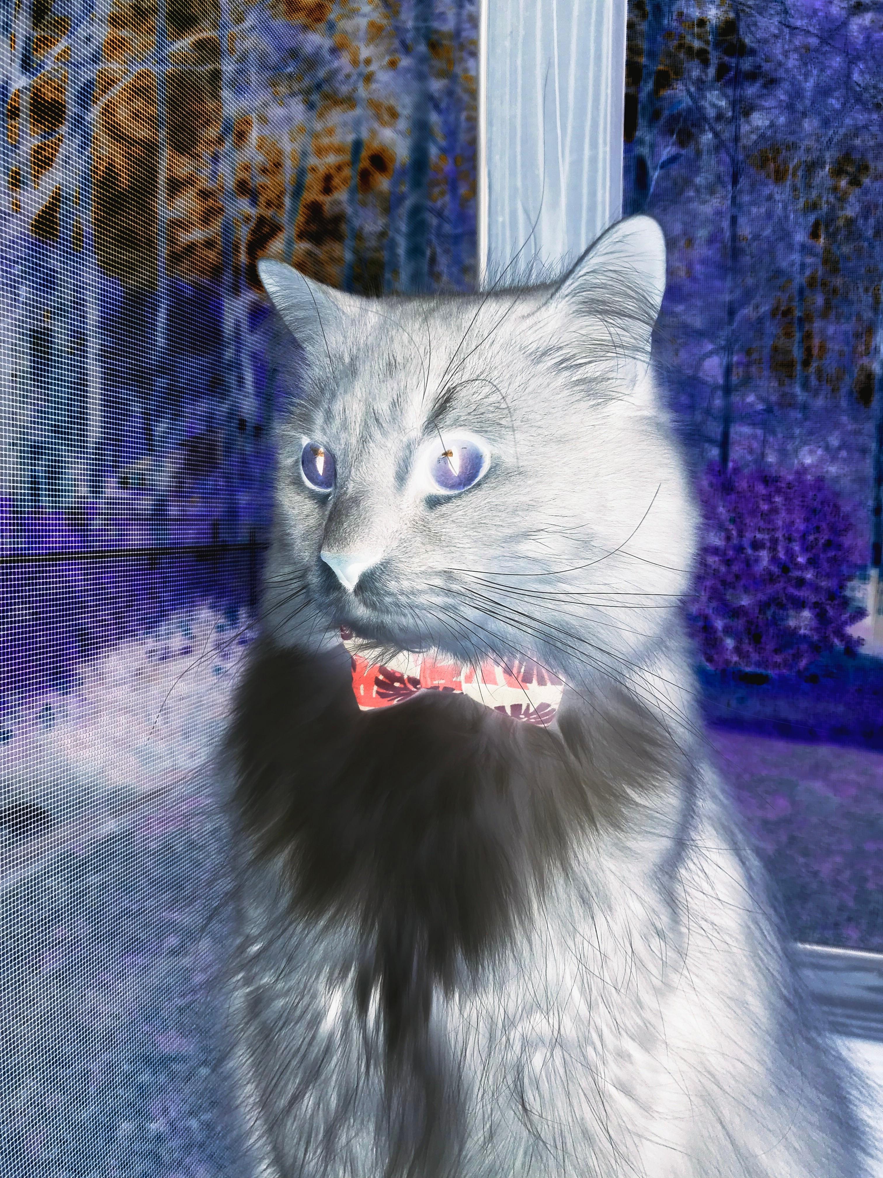 奥运周期关键战,却在小镇球馆上演,雷霆末节,如何带走了新疆队