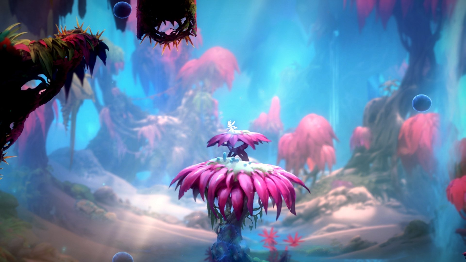 罗马军团夜袭东方金库,阿克孤胆破门埋葬卡塔尔黄金时代