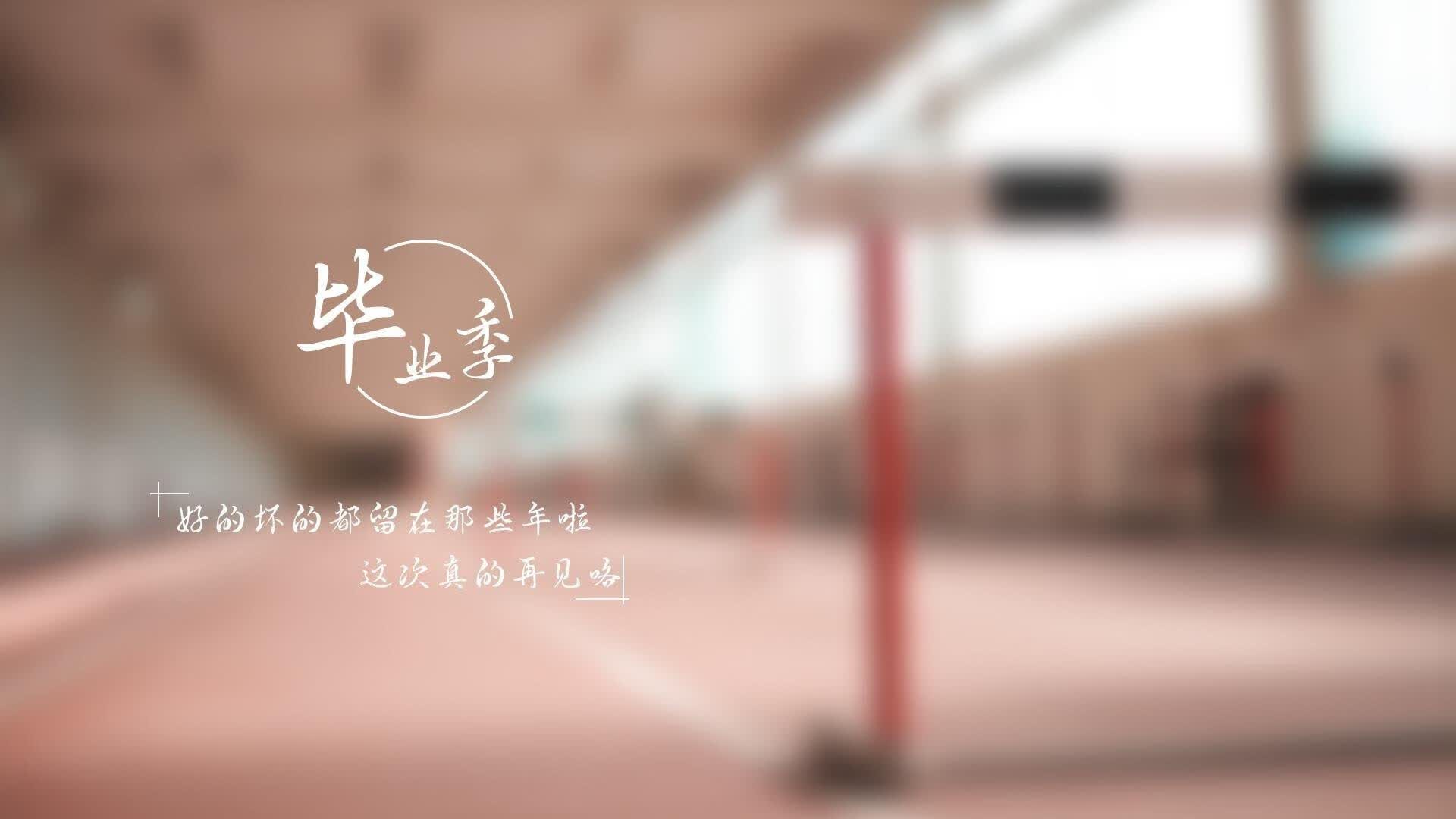 闪电风暴下的不屈灵魂,2026世界杯C组焦点战,德国战车以速度碾碎匈牙利,莱万独造三球诠释锋线之王